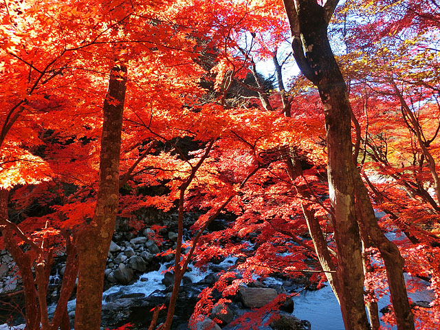 夏井川渓谷